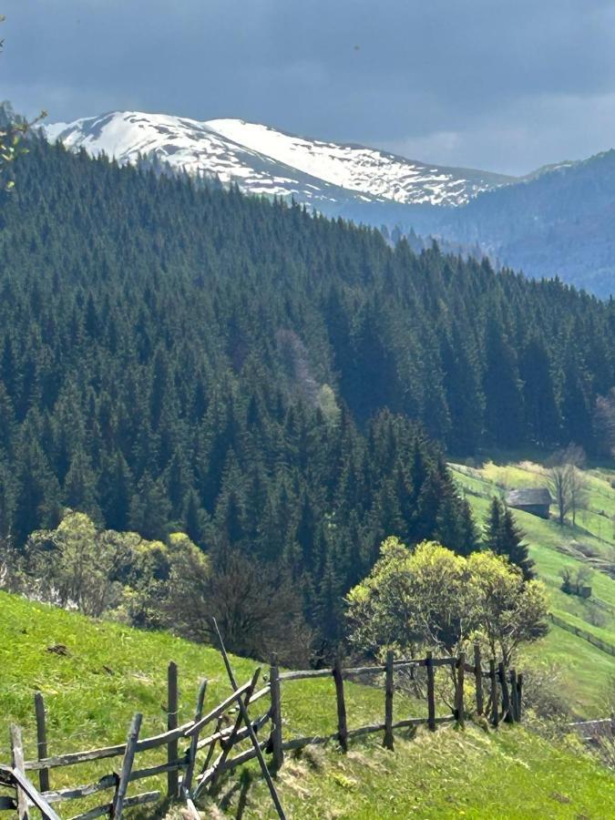Casa Mia Hotell Moeciu De Sus Eksteriør bilde