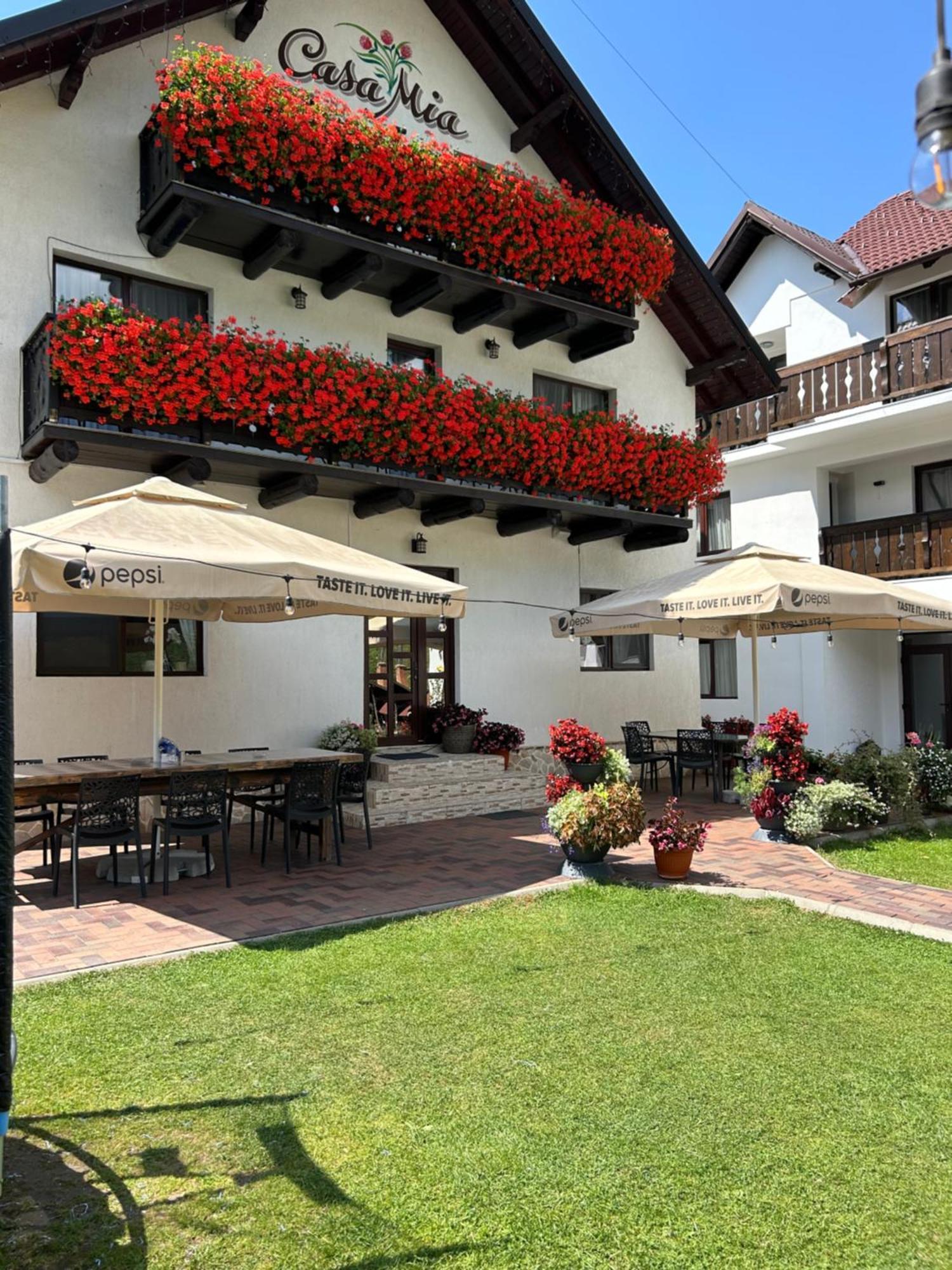 Casa Mia Hotell Moeciu De Sus Eksteriør bilde