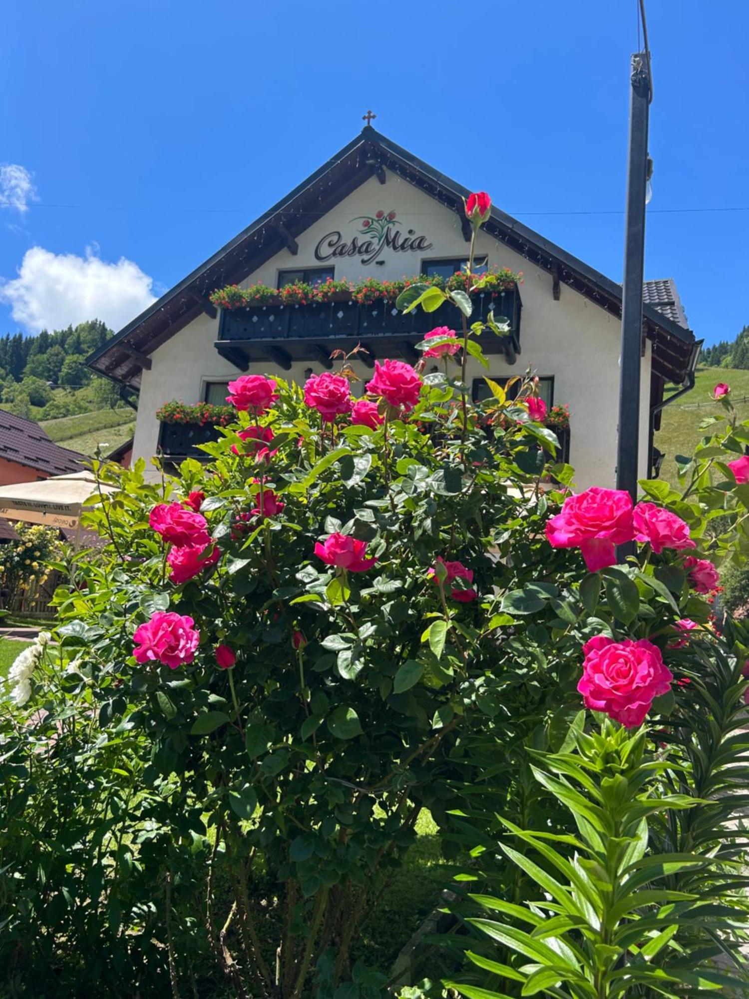 Casa Mia Hotell Moeciu De Sus Eksteriør bilde