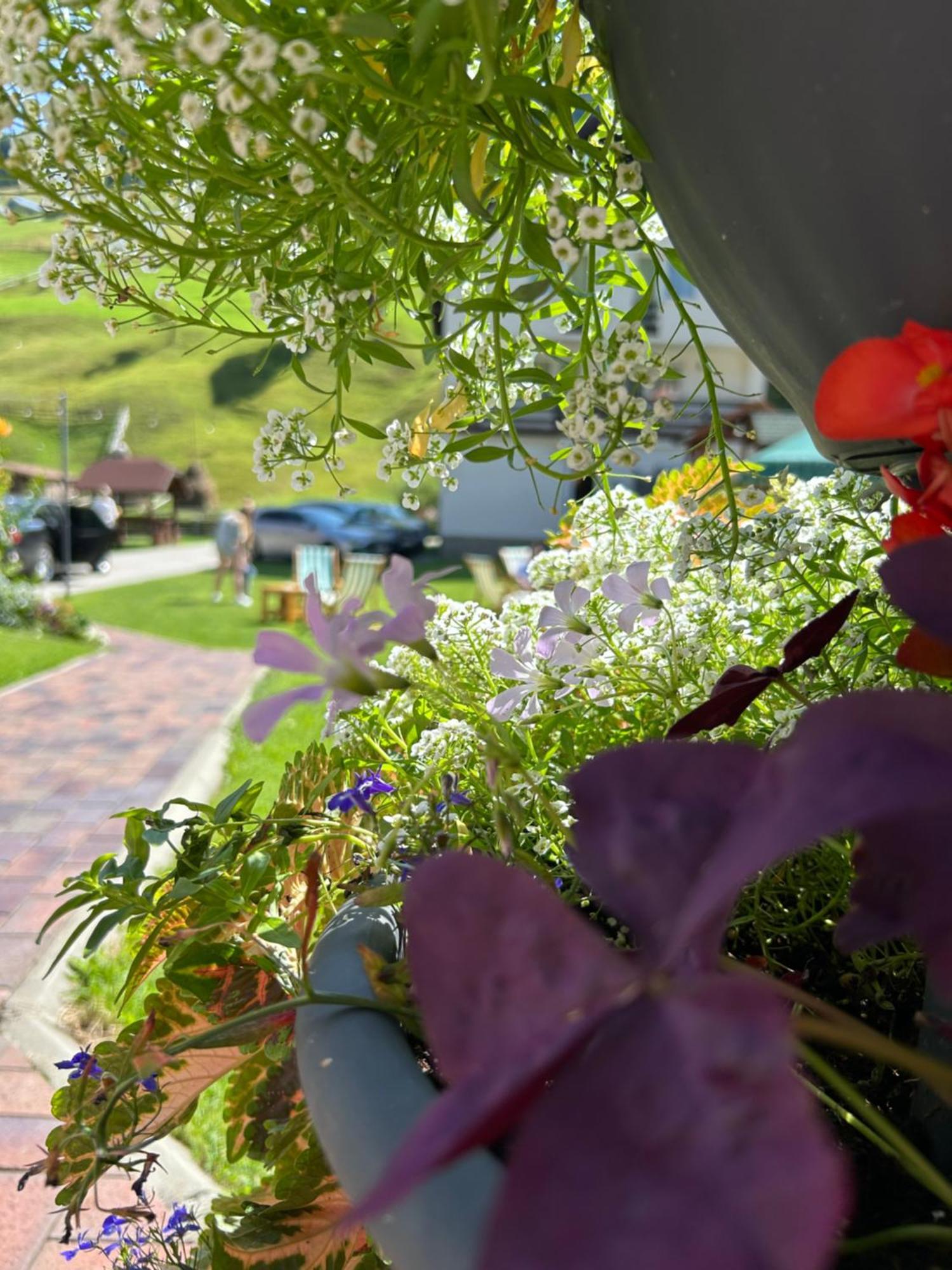 Casa Mia Hotell Moeciu De Sus Eksteriør bilde