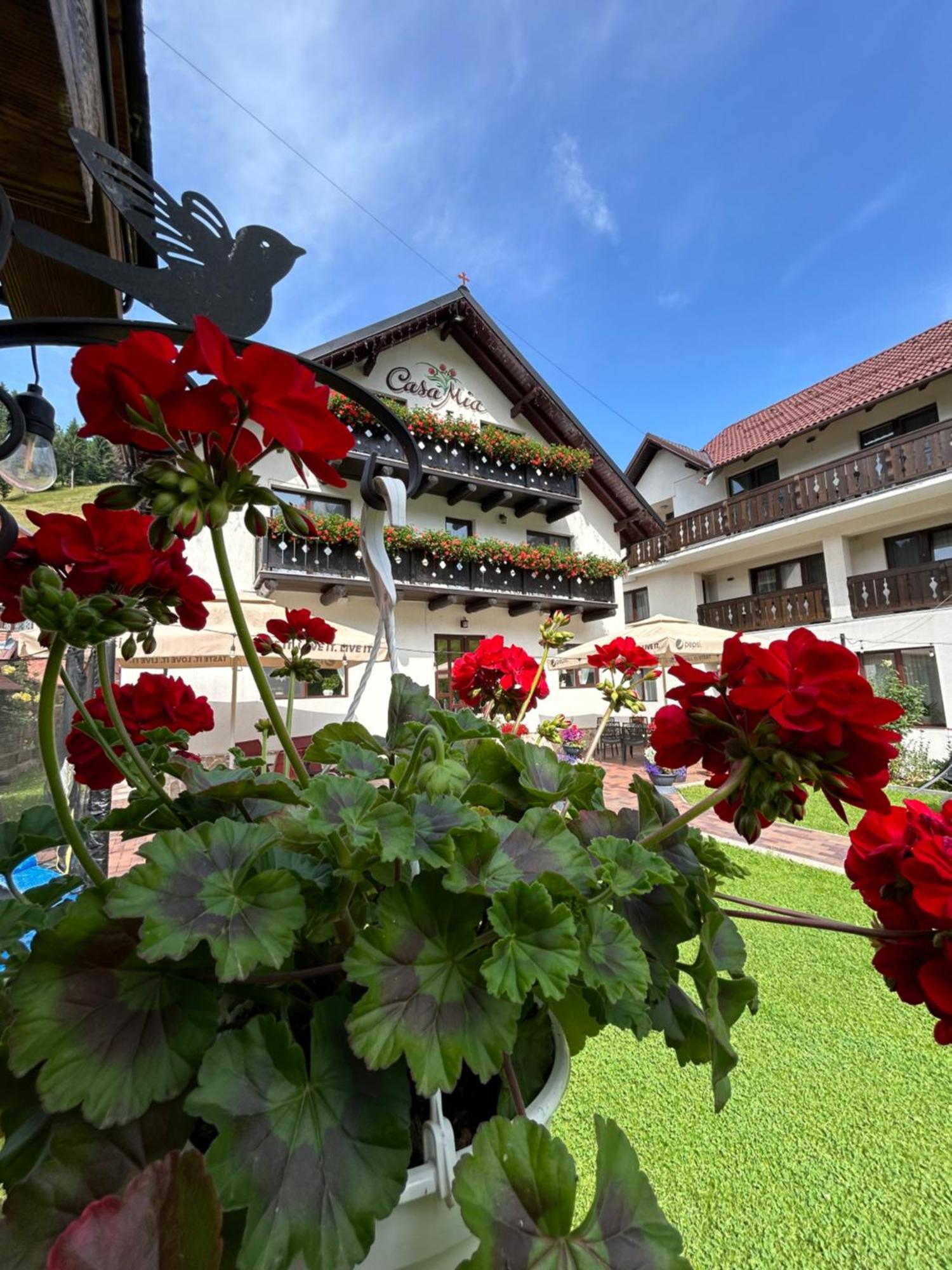 Casa Mia Hotell Moeciu De Sus Eksteriør bilde